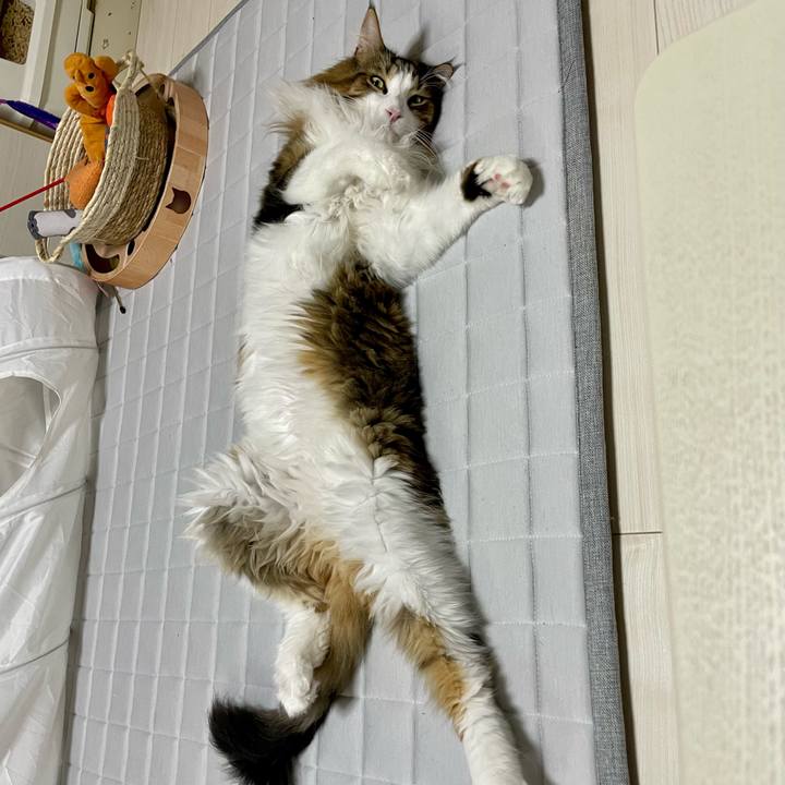 Ff52f3ea d2ac 4b54 91ef 8abf2615b618 1696017667863