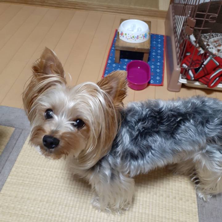 Ff531863 437d 4d31 b899 4bebfdc1e9b9 1563790447705