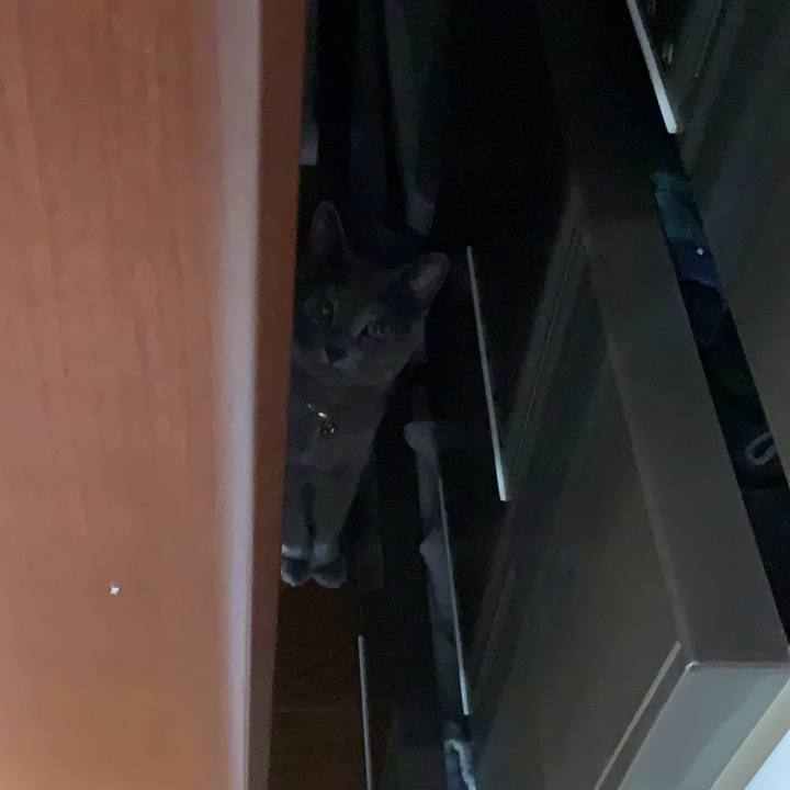 Ff5338e1 8319 40e7 89db 91cbdc7509ab 1619073119268