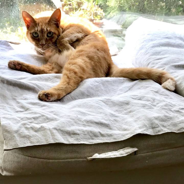 Ff53643d 73e8 478b afb2 ee1d9f12e924 1557886026693