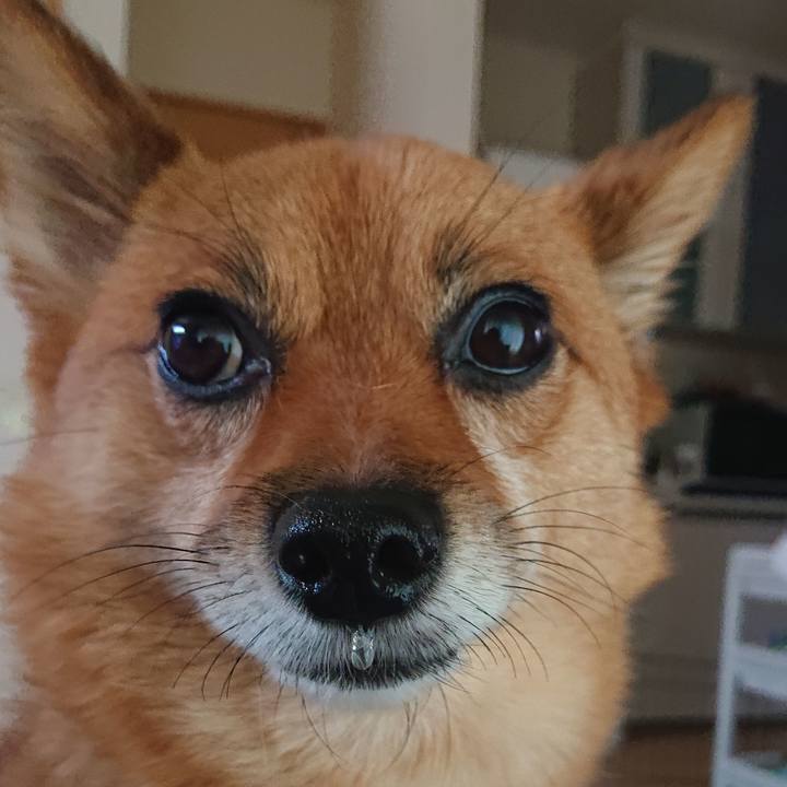 Ff537756 8845 4129 bca9 ab7a034fdc23 1564300821472