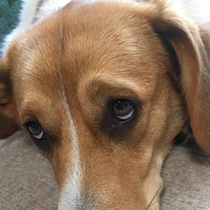 Ff538162 b6ae 4f69 919f 4bdd94505034 1616206935321