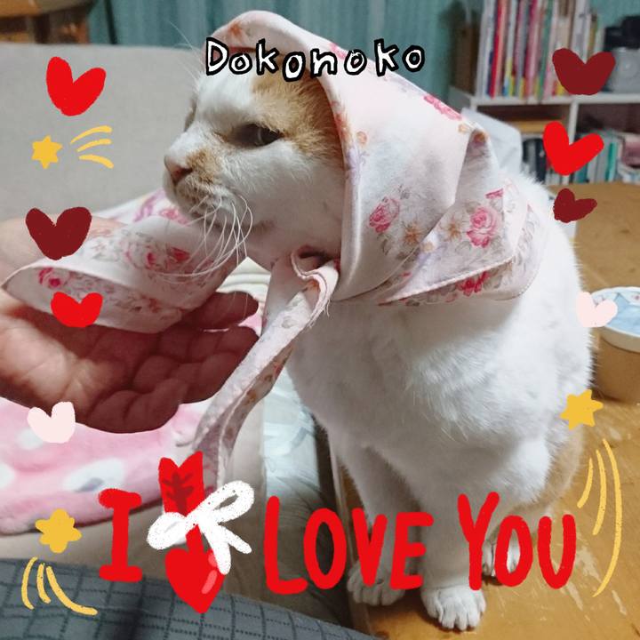 Ff53d32f 4e51 47d3 9bf3 17754b87fbf8 1706944626355