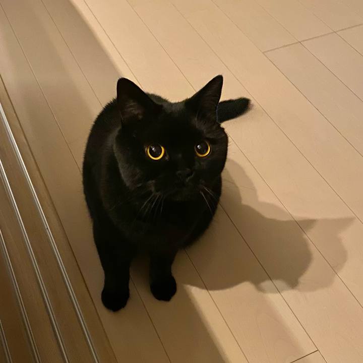 Ff53e028 5482 4935 9747 eeccc92a6b76 1606381521068