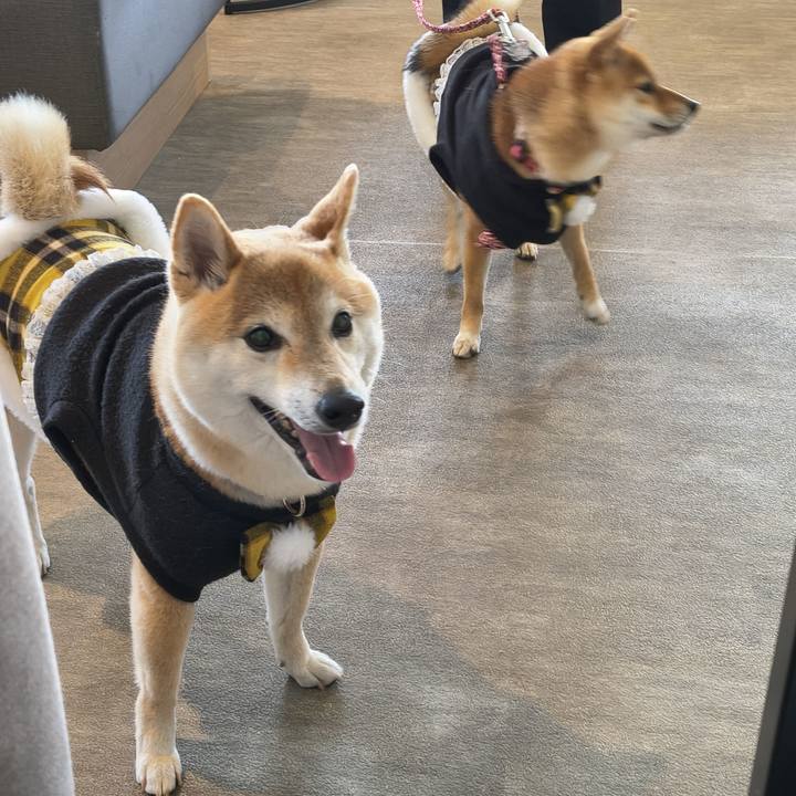 Ff541807 1c44 4a34 ae9d a3492cdb7634 1772874132814