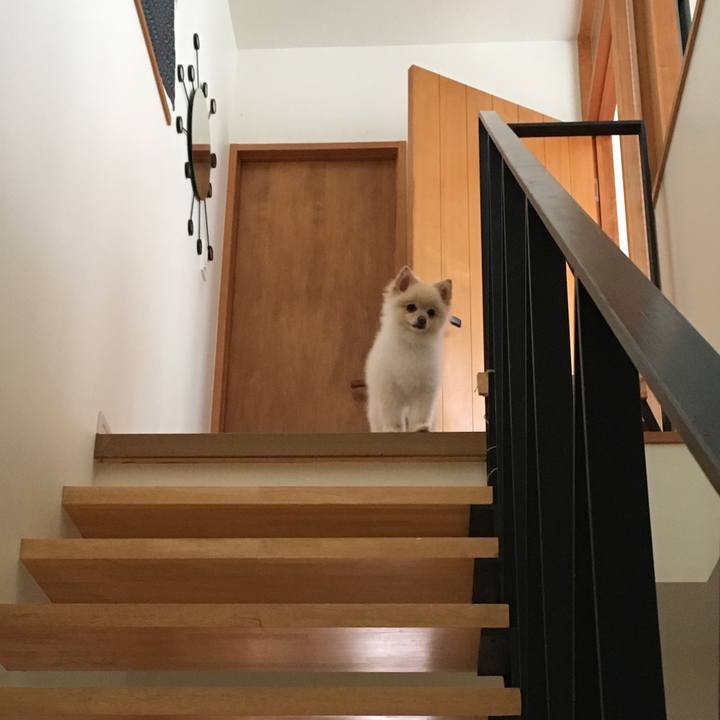 Ff542ea7 a564 4e86 b5f4 8c9f9c25d58f 1527724050267