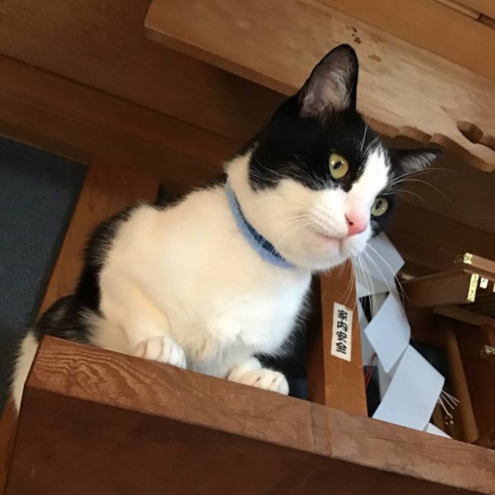 Ff54317f 0706 4ab9 91f7 43e9712039ca 1731057449030