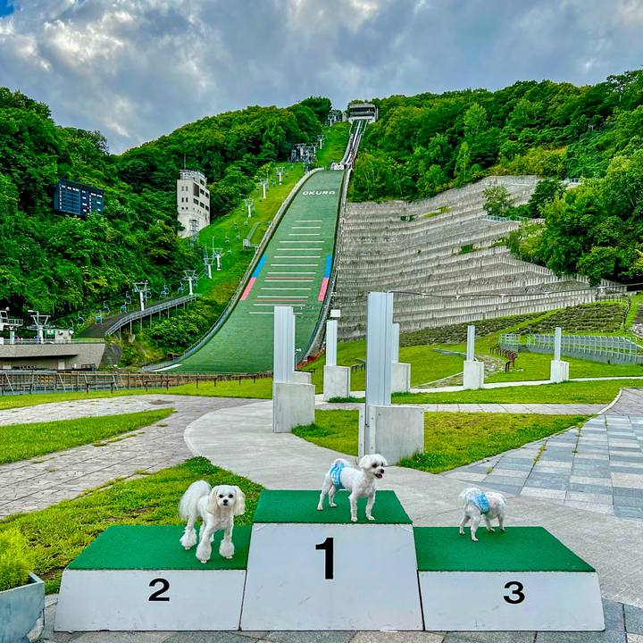 Ff544b5b 93c9 4d72 9094 2d5c848bb09a 1661745006442