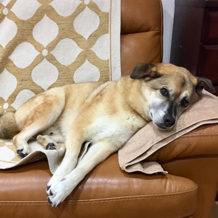 Ff5469ce 5388 40cc be5a 7c82abc1c92b 1571402854439