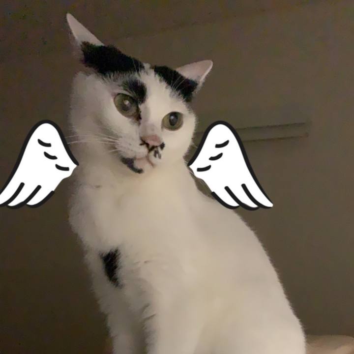 Ff547f7d 56cf 4fbd a954 3029b6b03ac7 1718250455806