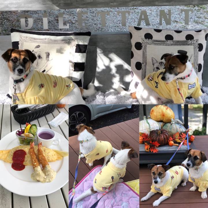 Ff54f155 3a3d 4b33 9e5a 1e7b24870a5f 1538968406396