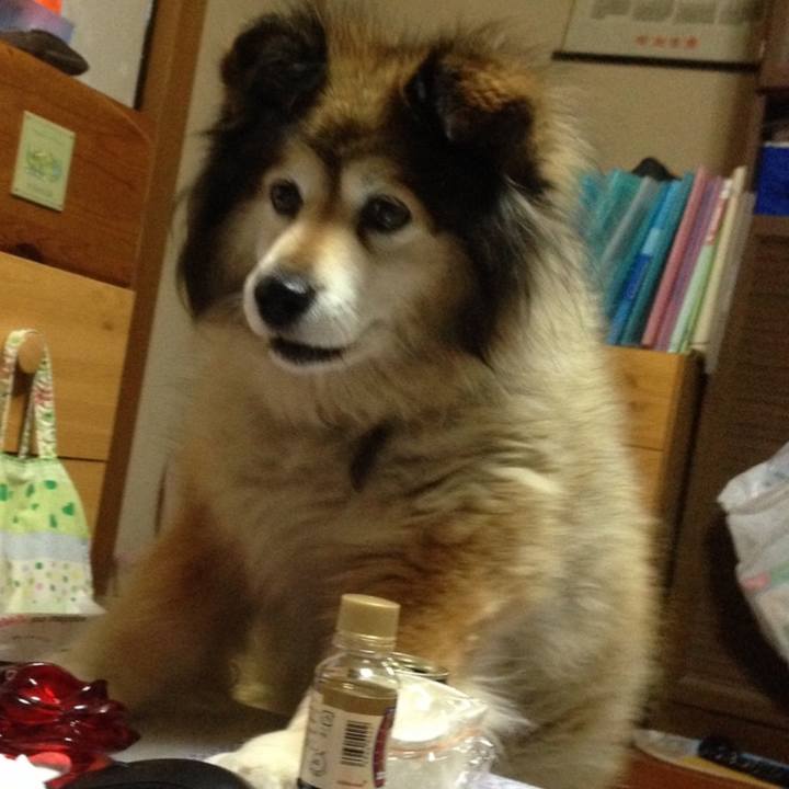 Ff5511c2 9994 4556 8c49 2dbaa4ddca03 1592139066655