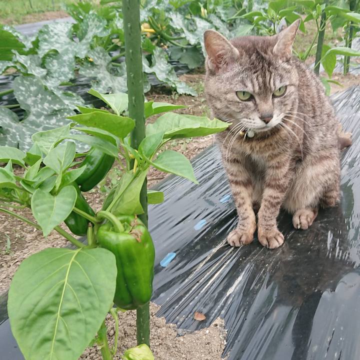 Ff553a5c ca8c 47f2 8cfc 10d51dc1bbb1 1561109153199