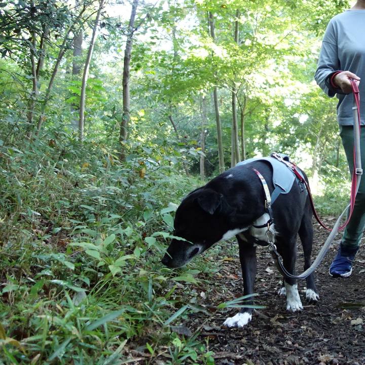 Ff555208 b963 42f9 8bd2 e7e190c89696 1729729701478