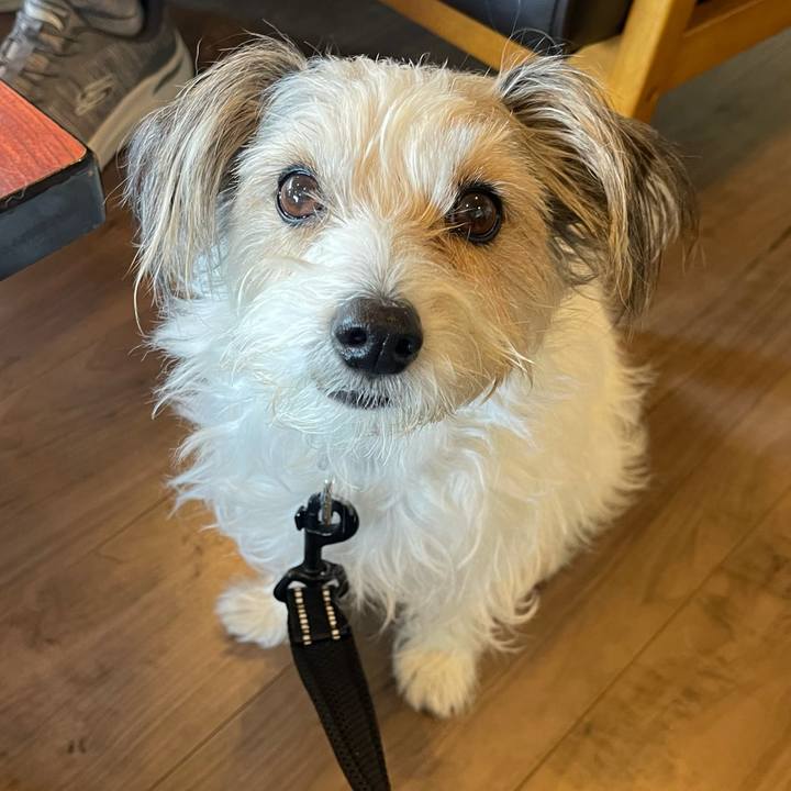 Ff5564e2 5484 489f a994 4ccc7b745f46 1771765644497