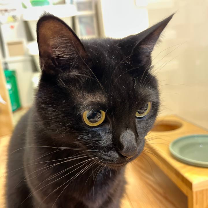 Ff556aa4 6799 41e8 a93c 349fb8e2568c 1637412714958