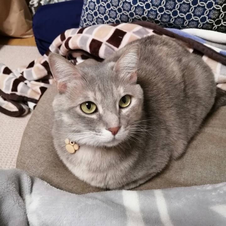 Ff55c04d 8e16 4369 b25b b5d7caf75d1a 1578612079103