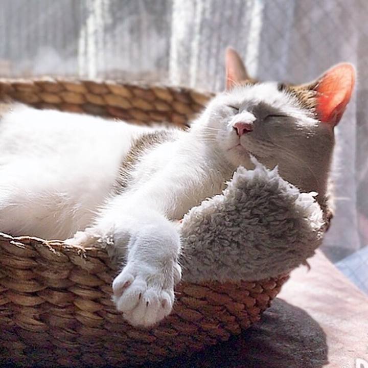 Ff55c5a5 1af1 4455 aba0 4ee5fed22823 1555922597147