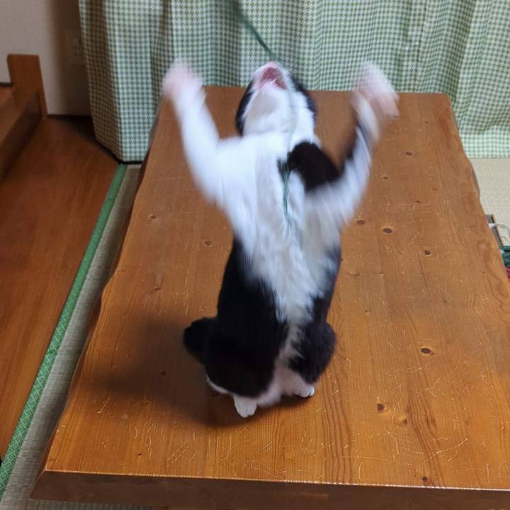 Ff55d044 4588 470e 8920 32abaef22f23 1701588311115