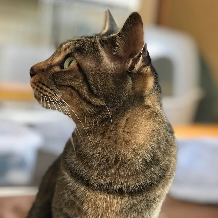 Ff560457 c91f 4b74 9bf3 3277caf2de3f 1510623115040