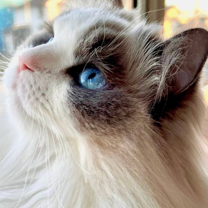 Ff5609a4 9ead 4ab0 8096 847500a406d4 1645269745409