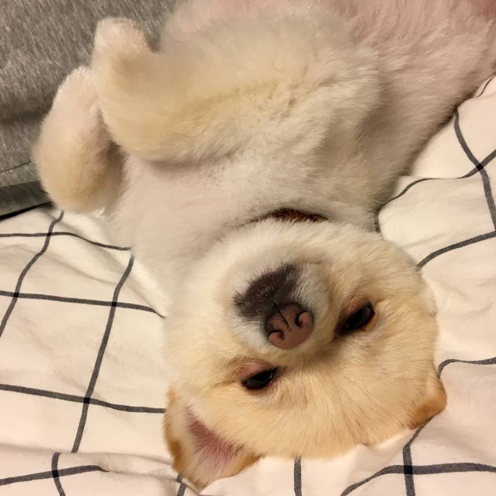 Ff5617b0 751f 41b1 8143 44c34296c100 1529843304573