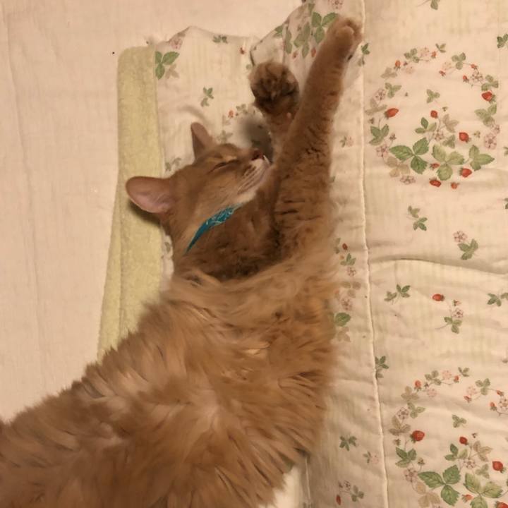 Ff561c90 966c 43ce a941 7a1a51d2ad47 1639399408151