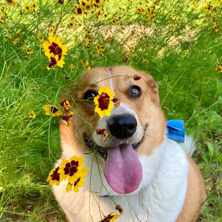 Ff561dd5 d3f9 4757 a75f 89474e1ced0f 1656637308625