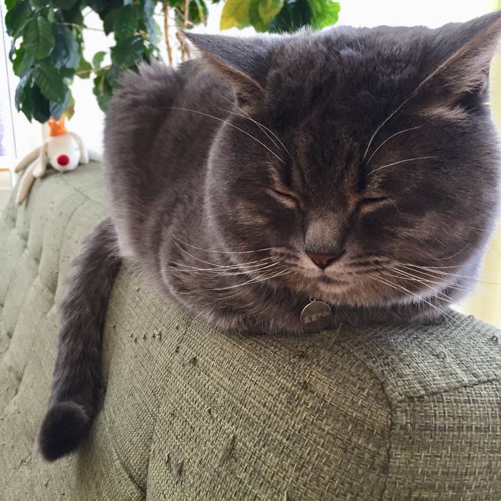 Ff565b9e 8731 40f3 8ef1 0c45de10343a 1515020705608