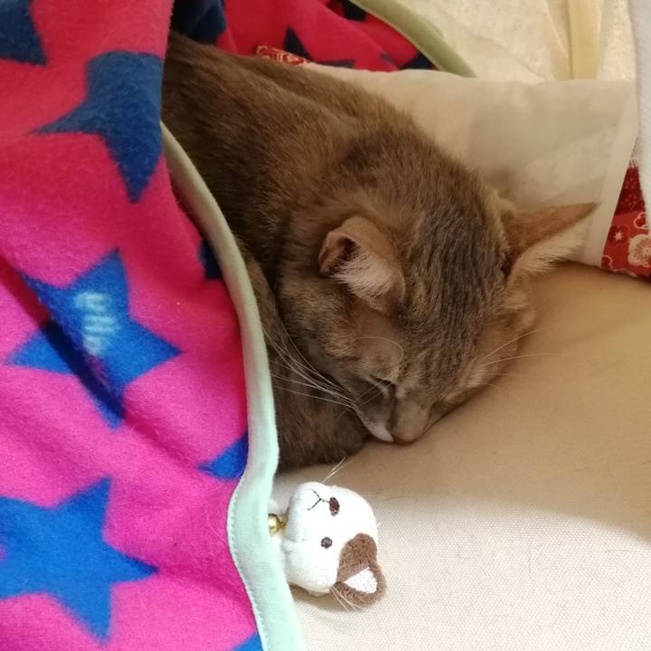 Ff5672df 5a01 450b 9f1f 8eb6207f97c0 1545027725913