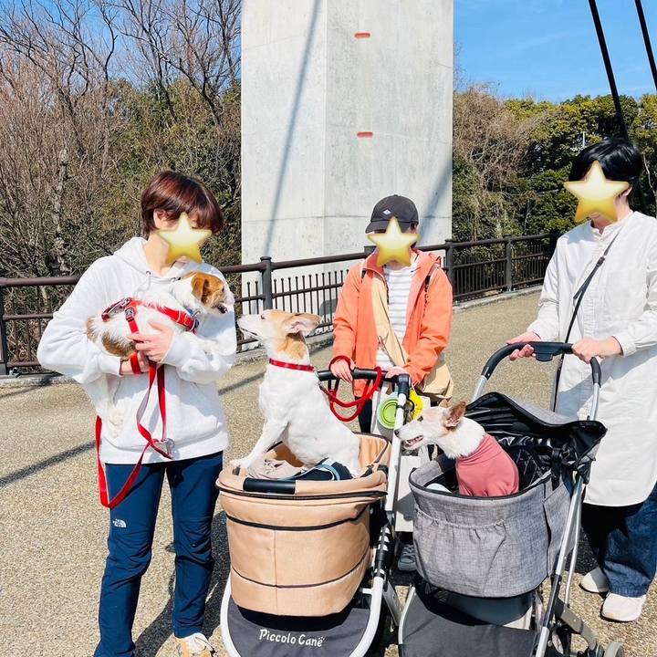 Ff56a659 8f73 4135 9e08 1cef0c469087 1740824197241