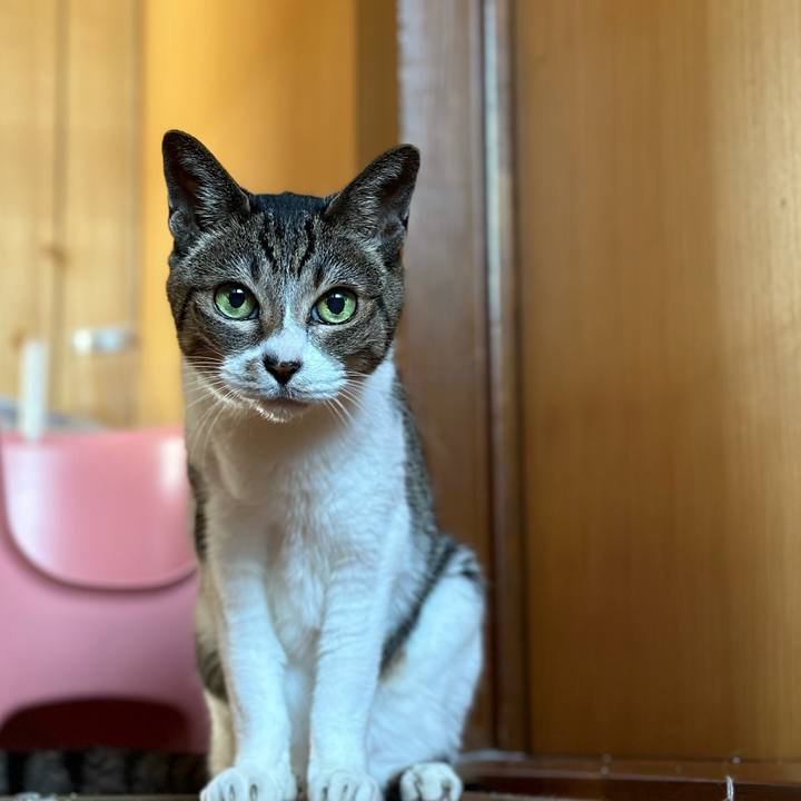 Ff56c8c7 f6d4 4540 9886 ff775d840e2a 1677894459618