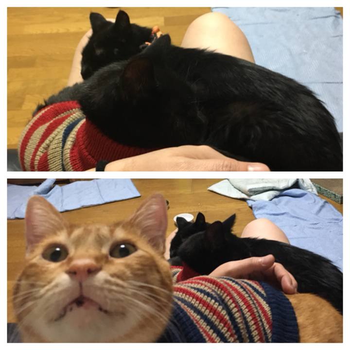 Ff56e25a aad0 423d a596 7ad8cac39180 1539695516691