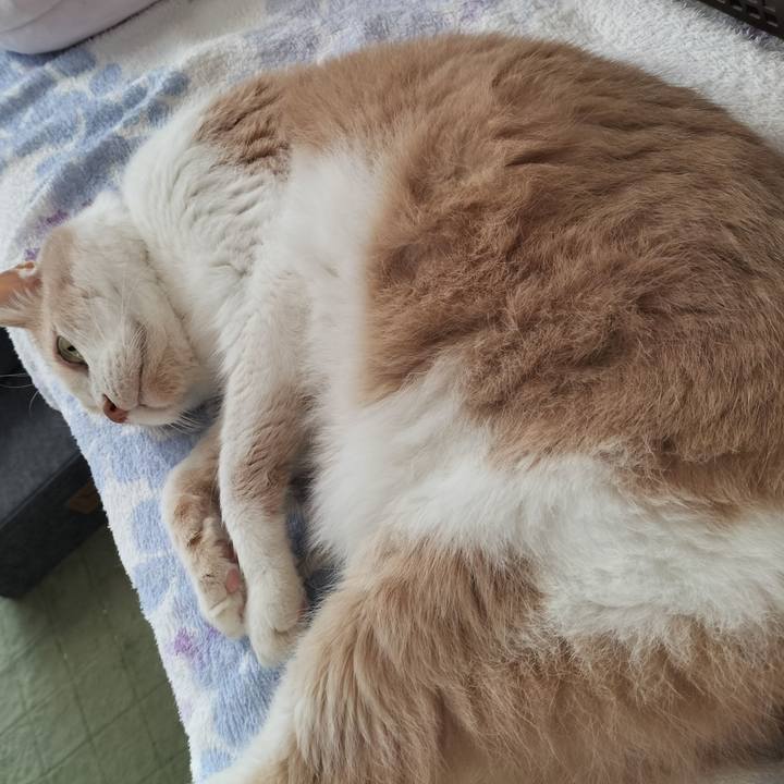 Ff56e7ce 1290 483c b688 68adef52e4b1 1658958854097