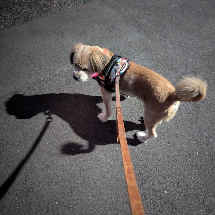 Ff574f23 7b18 4517 938a 839825fcb2ea 1733465973480