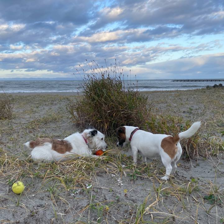 Ff5768cd be37 47db a972 d95d605c4aee 1762558176011