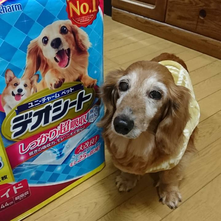 Ff5776ed 4a3c 43aa 920c f2512a6270fb 1517810801627