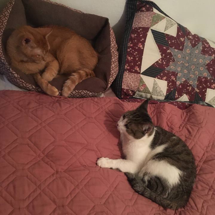 Ff5818be 0a0d 4f65 b645 40b4b5816dab 1679115207571