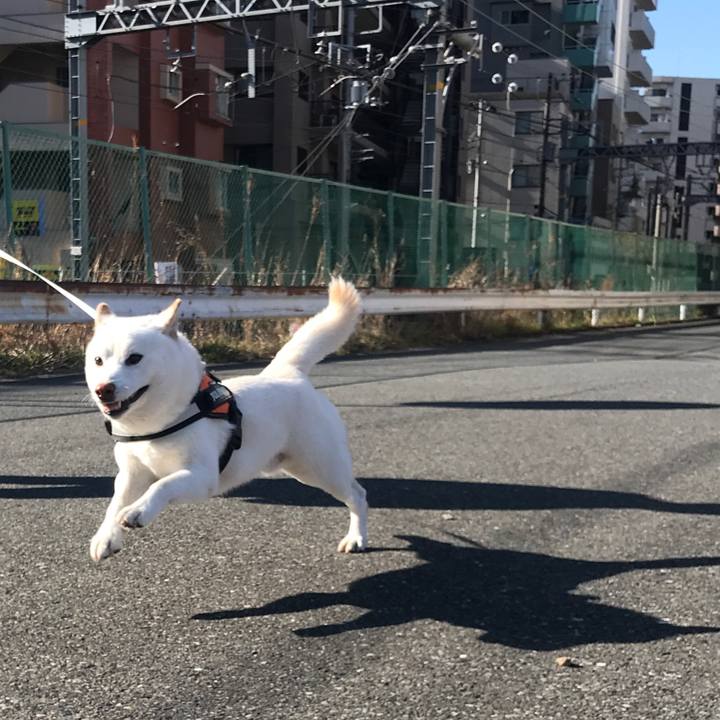 Ff5823ae de62 4086 936e b2525fbedf85 1549172580577