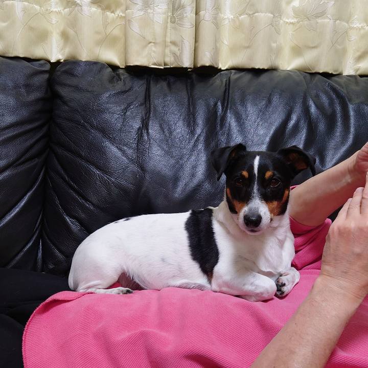 Ff582a58 35bb 4abd 82c0 8753dad9aee3 1735390333325