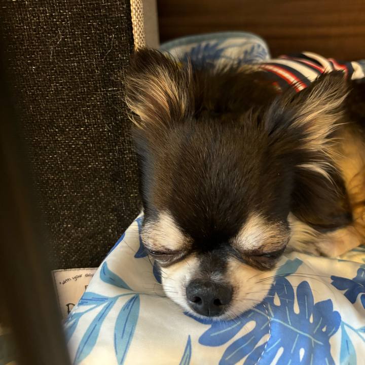 Ff583e9c 5621 4468 8351 c7139e998ba5 1722785650545