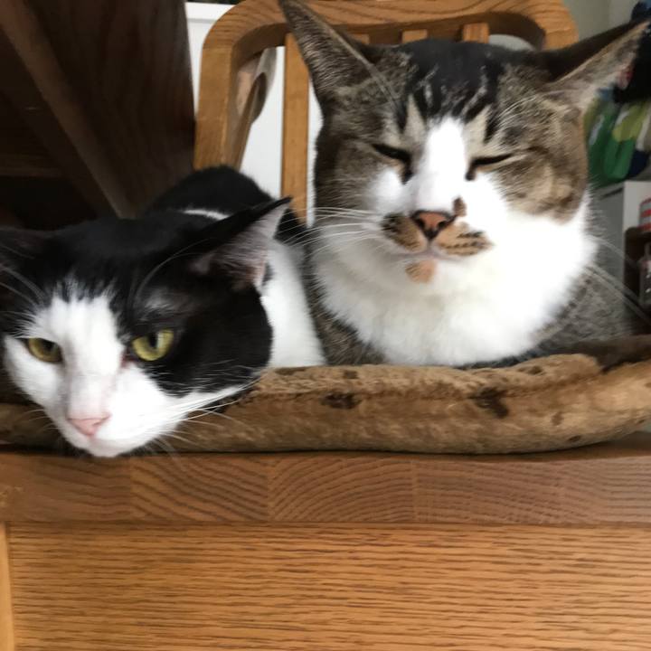 Ff584142 bf49 42a7 9b69 460bf5689d4e 1542196949972