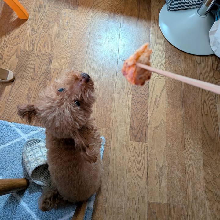 Ff584365 228b 48cc 9207 0f687ed7c1f4 1762554405243