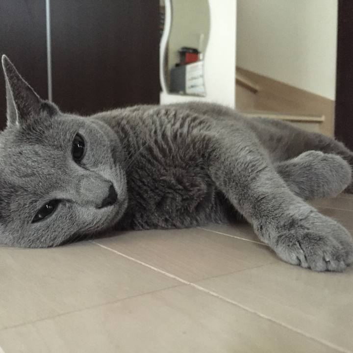 Ff584b81 94ac 498e 80cc 797e78efdf0d 1656317105858