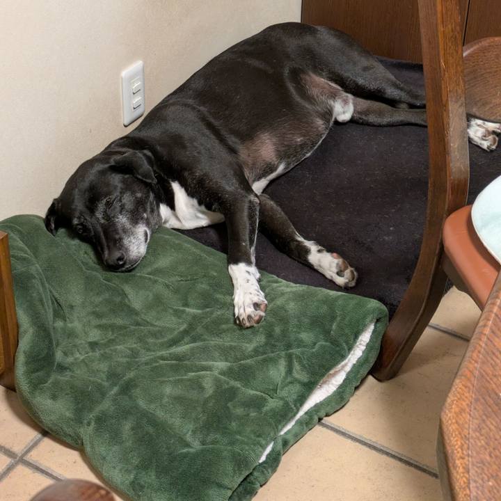 Ff58502c cfdb 4215 abe7 24731c8a70a2 1761578810327