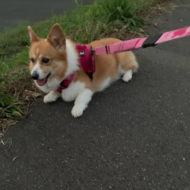 Ff58663e 92f2 4001 9e52 f30e41ae3004 1624274024783