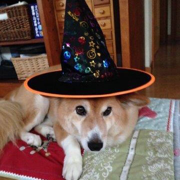 Ff58c3e2 a6cb 4a68 a945 1d211b94b97d 1572343352853