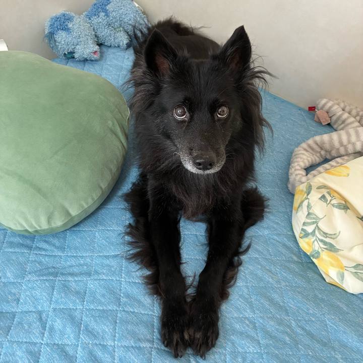 Ff58f1a2 0d04 4ff8 ba65 93d2f3eb9b3a 1755931650049