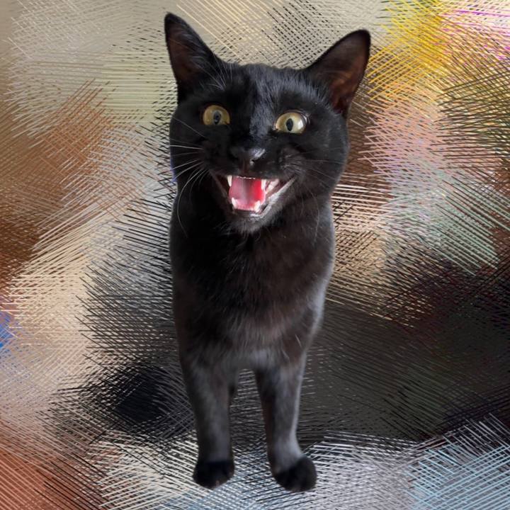 Ff58f2b1 c691 44a4 879b 4c70fae34a38 1744417537868