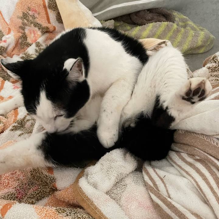 Ff58fccf a5b5 4d9f 8da2 1c57b32e6069 1679253444394